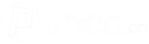 punca.co
