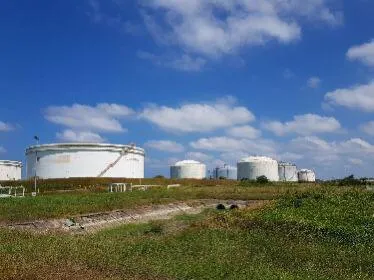 BPMA Bentuk Tim Percepatan Penyimpangan CCS