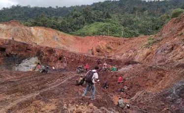 GerPALA Desak Pemkab Aceh Selatan dan Pemerintah Aceh Evaluasi Izin PT PSU