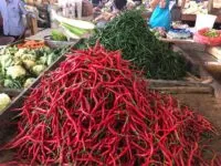 Harga Bahan Dapur di Aceh Besar Meroket Jelang Ramadan