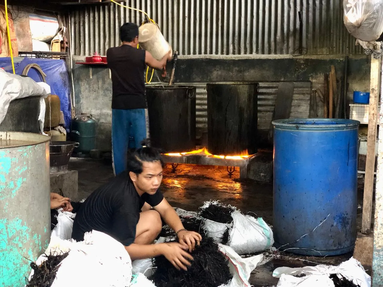 Cincau Legendaris di Banda Aceh Mengalami Peningkatan Produksi Saat Ramadan