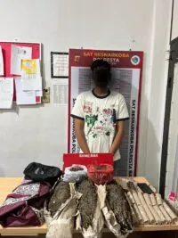 Edar Ganja Seberat 3,7 Kg, Pemuda Aceh Besar Diringkus Polisi