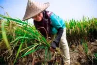 Penggagas Kawasan HFE SieBreuh Juanda Djamal Sambut Baik Pendirian BUMA Sektor Pangan