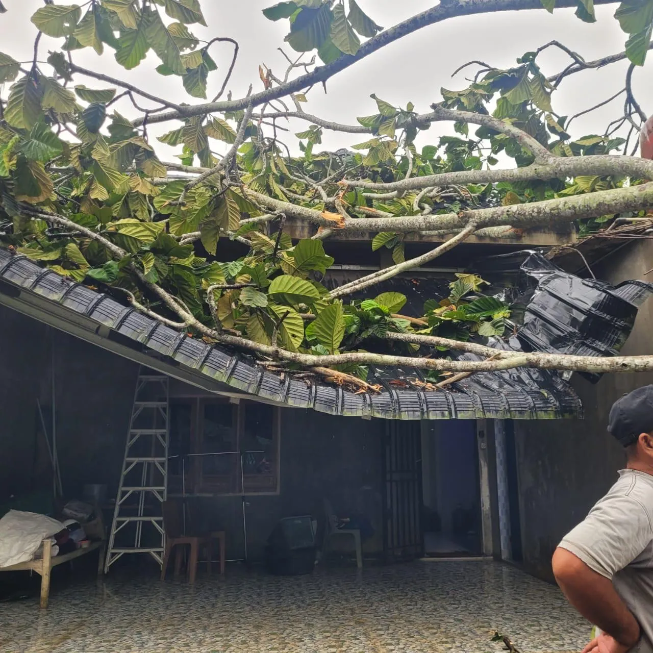Angin Kencang Terjang Aceh Timur, Belasan Rumah Rusak Berat dan Sedang