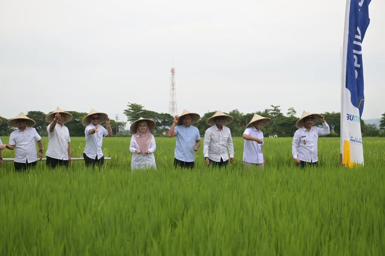 Pemerintah Aceh Launching BUMG Penyalur Pupuk Bersubsidi