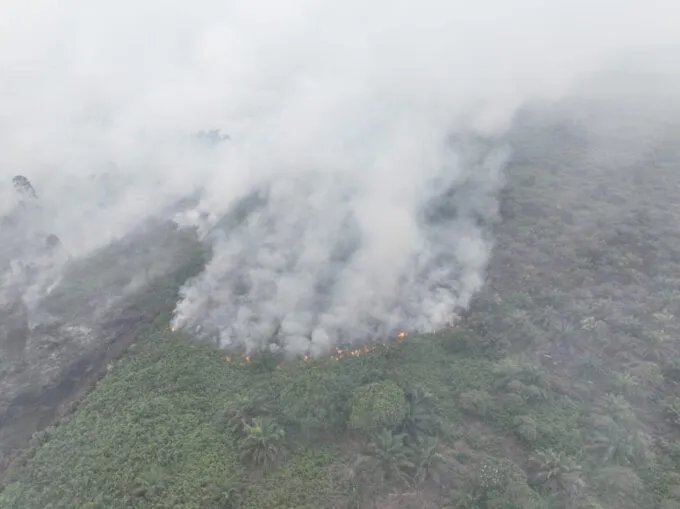 Kebakaran Lahan di Aceh Selatan Meluas, 72 Hektare Terbakar Selama Sepekan