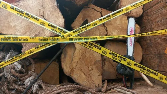 Bawa Kayu Ilegal Hasil Hutan Lindung, Pria Asal Aceh Besar Ditangkap