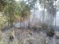 Satu Hektare Lahan di Saree Aceh Besar Ludes Terbakar, Penyebab Masih Diselidiki