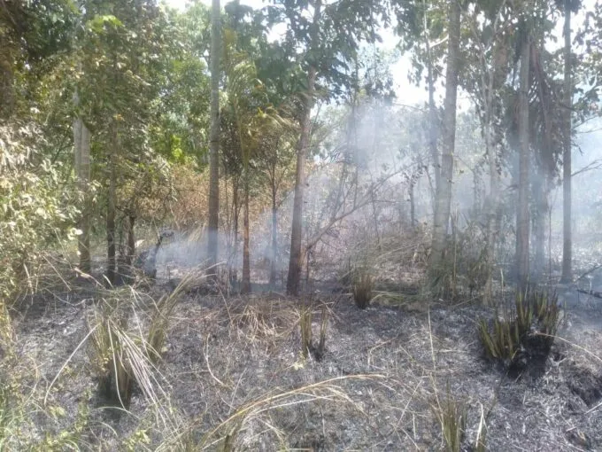 Satu Hektare Lahan di Saree Aceh Besar Ludes Terbakar, Penyebab Masih Diselidiki