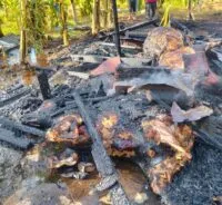 Kandang Terbakar, Dua Ekor Sapi Terpanggang