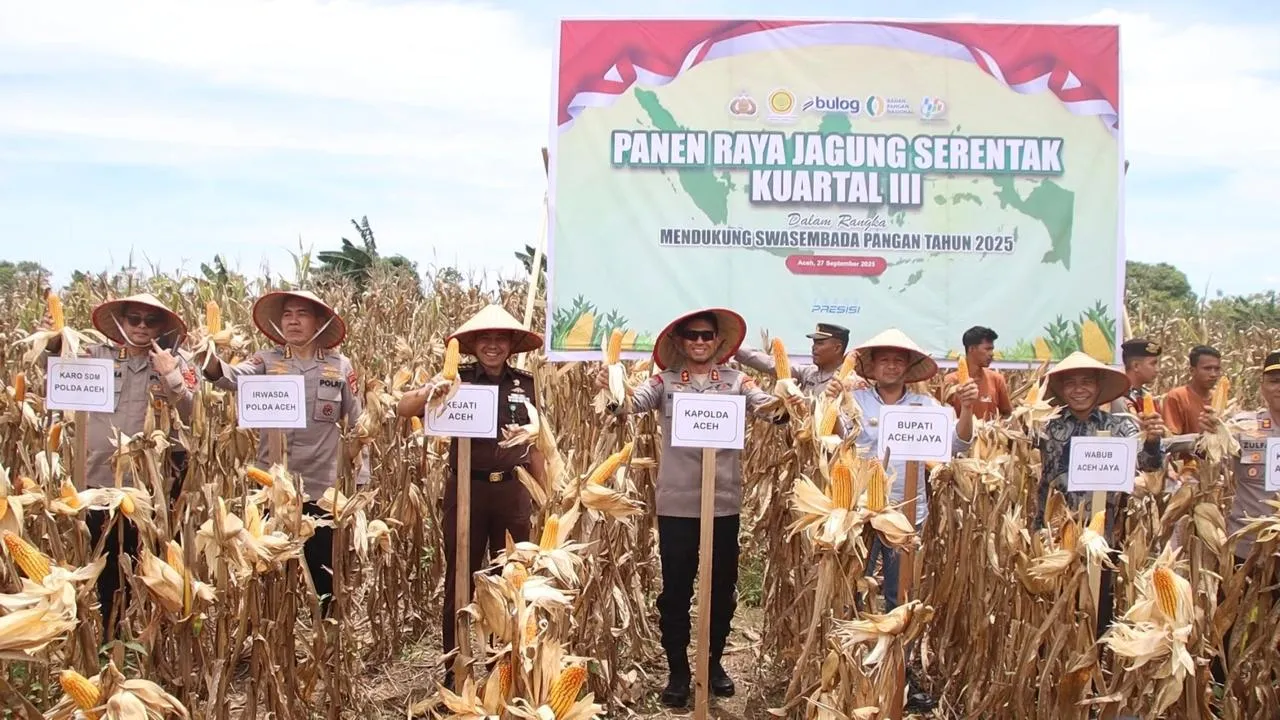Kapolda Panen 24,5 Ton Jagung pada Kuartal III di Aceh Jaya