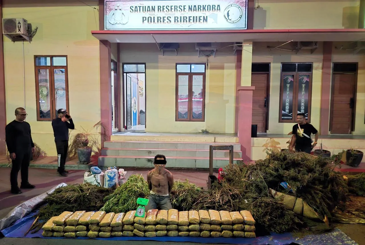 Polres Bireuen Kembali Amankan Satu Pelaku dan 154 Kg Ganja