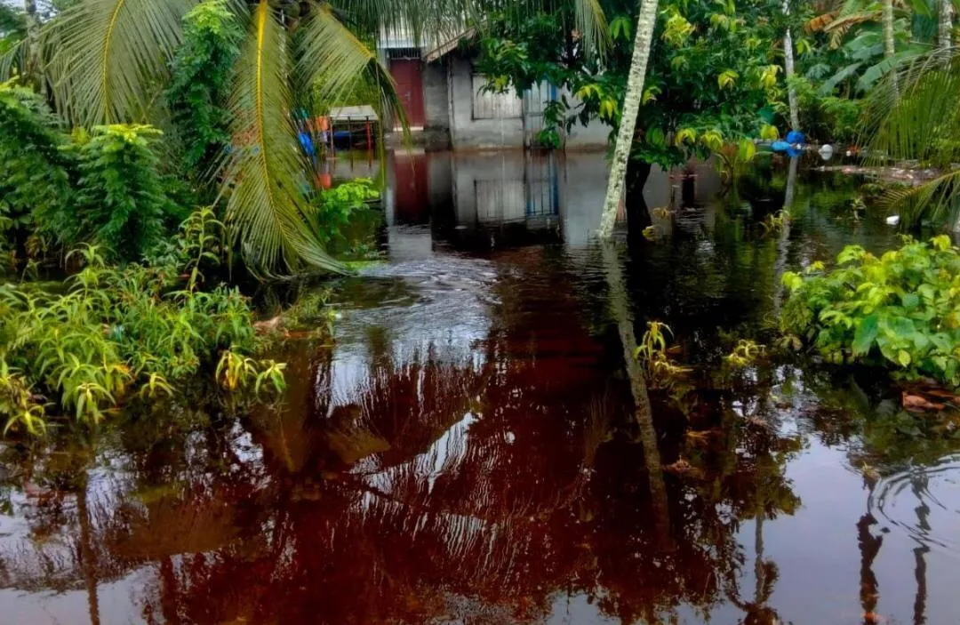 Banjir Landa Aceh Barat, Satu Remaja Meninggal Terseret Arus di Johan Pahlawan