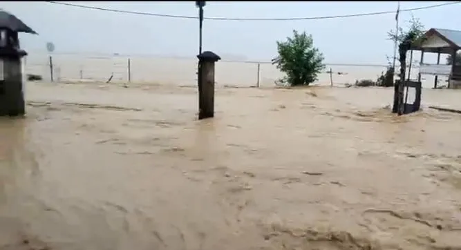 Hujan Lebat Picu Banjir Susulan di Pidie Jaya, Belasan Desa Tergenang