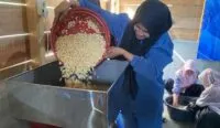 Produksi Tembus 50 Kg Per Hari, Tempe Koro Tantang Dominasi Kedelai Impor