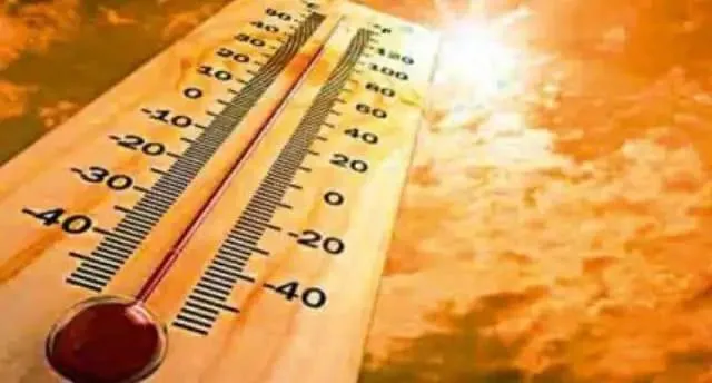 BMKG Prediksi Puncak El Nino pada Agustus Mendatang