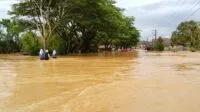 Hujan Dua Hari, Banjir Rendam Tiga Kecamatan di Nagan Raya