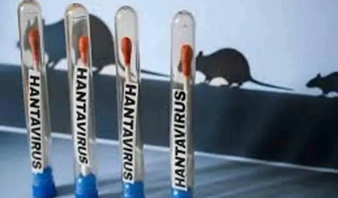 Kasus Hantavirus di Argentina Melonjak, 32 Orang Dilaporkan Meninggal