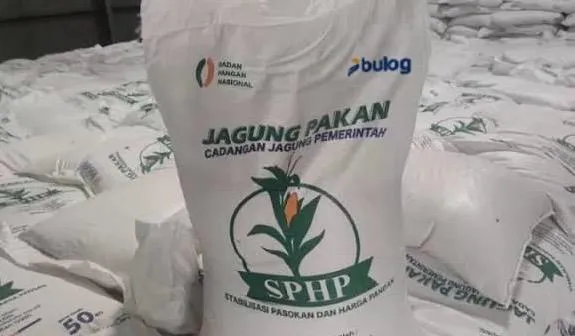 Bulog Salurkan 240 Ribu Ton Jagung SPHP, Sebut Guna Tekan Harga Pakan Ayam