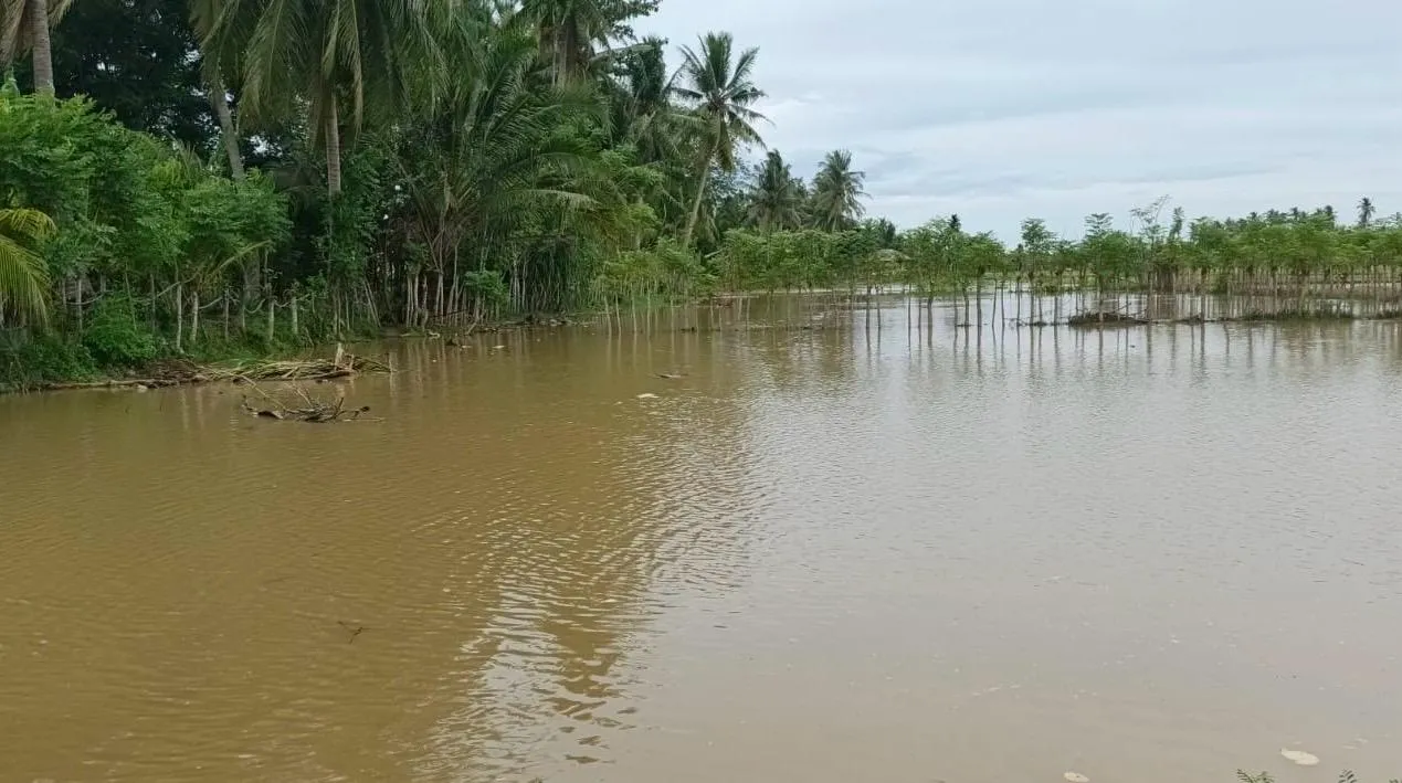 Sudah 5 Hari Banjir Rob Terjang Rendam Pesisir Aceh Utara, Warga Mengungsi