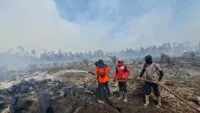 17 Hektare Lahan di Nagan Raya Terbakar