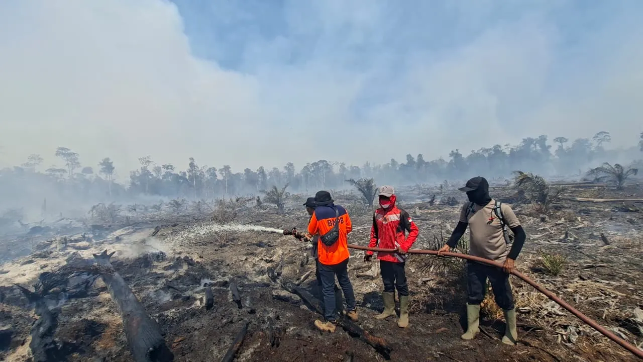 17 Hektare Lahan di Nagan Raya Terbakar