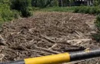 Jembatan Parang Sikureung Tersumbat Kayu, Pemkab Aceh Utara di Minta Bersikap Segera