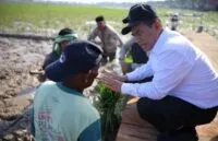 Pemerintah Aceh Pacu Pemulihan Sawah Terdampak Bencana Hidrometeorogi