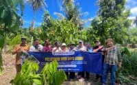 Pelatihan Budi Daya Kakao Langsung di Kebun Petani Sabang