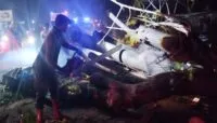 Pohon Tumbang Timpa Mobil di Pidie, Tujuh Orang Meninggal Dunia