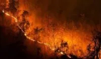 Polri Tetapkan 72 Tersangka Kasus Karhutla, Riau Terbanyak