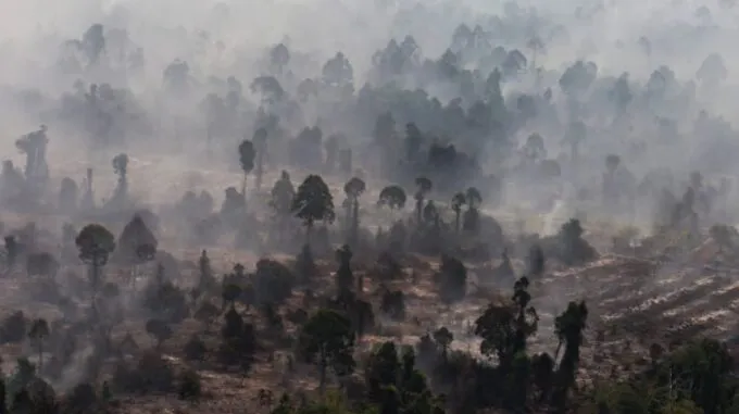 Jepang Kirim 600 Personel dan 3 Helikopter CH-47 Bantu Atasi Karhutla Kalimantan