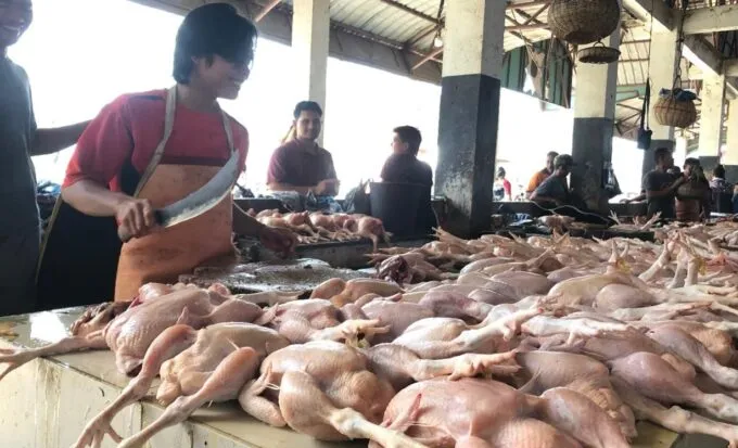 Pasokan Terbatas, Harga Ayam di Banda Aceh Melambung