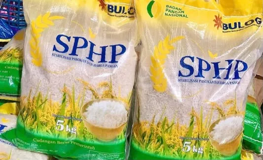 Pemerintah Bakal Tambah SPHP Beras Jadi 1 Juta Ton, Bulog Sebut Butuh Rp1,1 Triliun