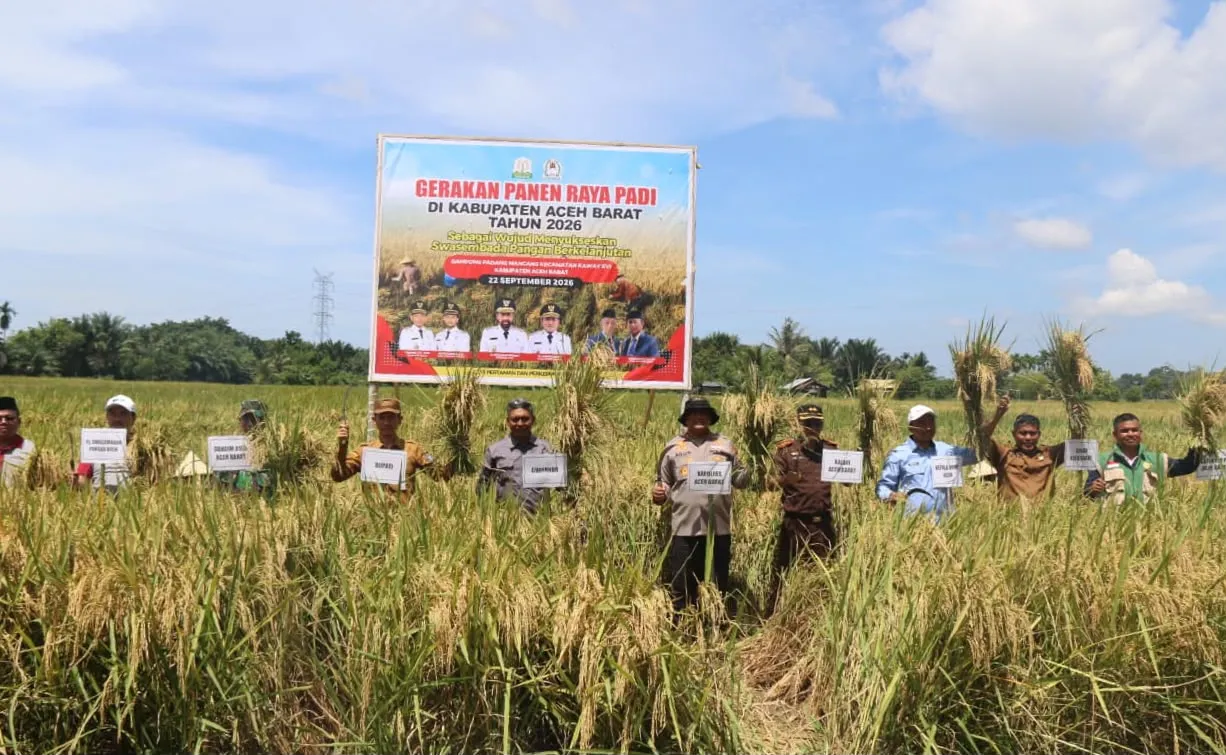 Panen Raya Aceh Barat, Mualem Sebut Sejalan dengan Misi Pemerintah Aceh