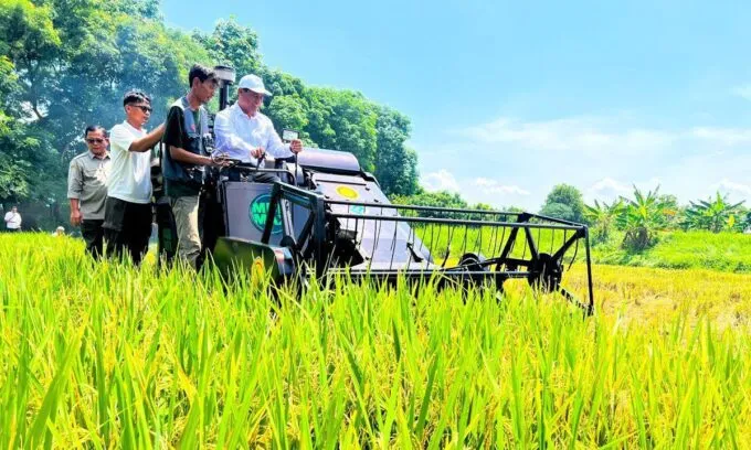 Produksi Beras Indonesia Naik 13,29 Persen, Pemerintah Perkuat Swasembada Pangan